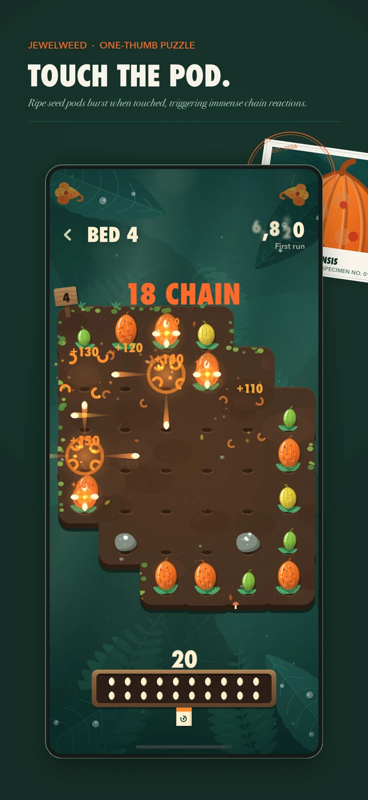 Jewelweed on iPhone: a garden bed of orange seed pods mid-chain, with the score showing an 18 chain.
